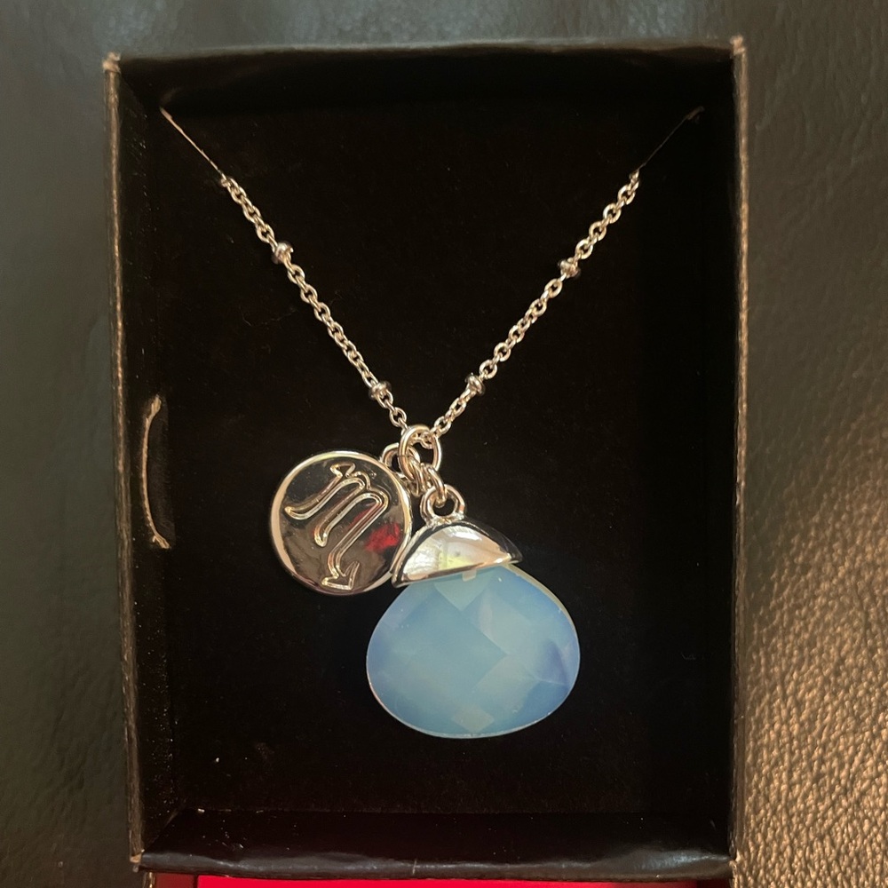 !!MID MONTH BIG SALE!! Scorpio zodiac pendant necklace